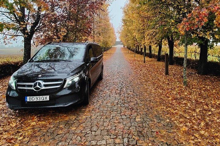 Private Transfer from Lisbon to Porto