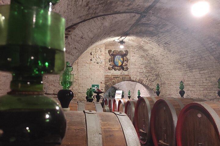 From Rome: Private Day-Tour of Tuscany