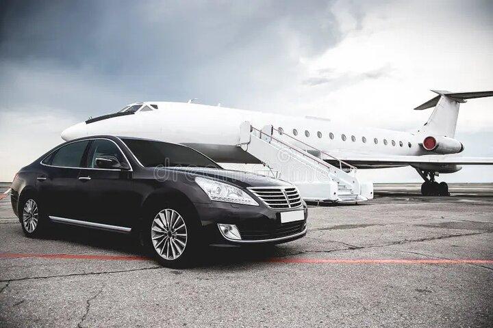 Transfer Service: Auckland to Rotorua or Rotorua to Auckland