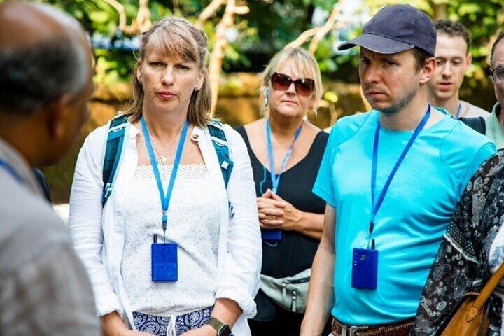 Dublin Highlights and Hidden Gems Walking Tour With A Guide