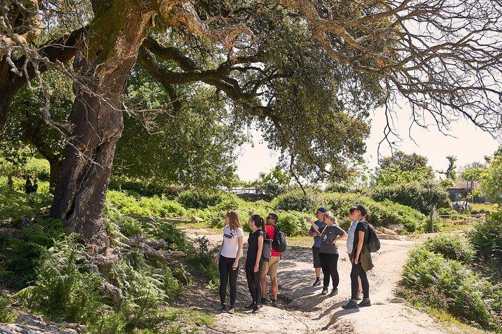 Small Group Geres National Park Full Day with picnic from Porto