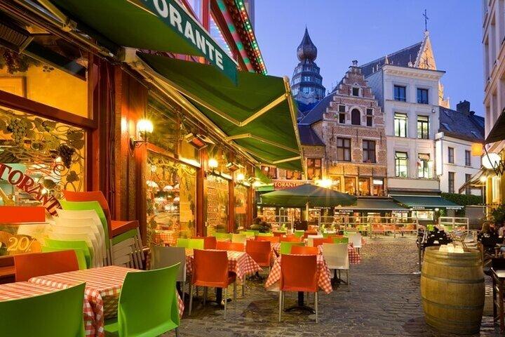 Antwerp Must-See Attractions Private Walking Tour with a Guide