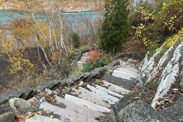 Devil's Hole to Whirlpool: 4 Hour Niagara River Trek
