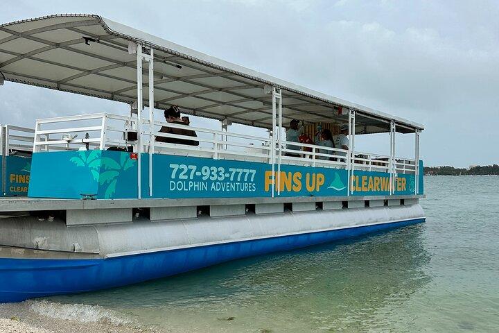 Fins Up - Dolphin & Island Sandbar Adventure in Clearwater Beach