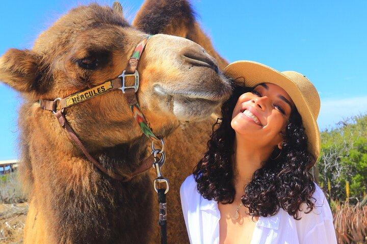 Cabo Camel Safari & FREE Beach ATV Adventure and Tequila Tasting