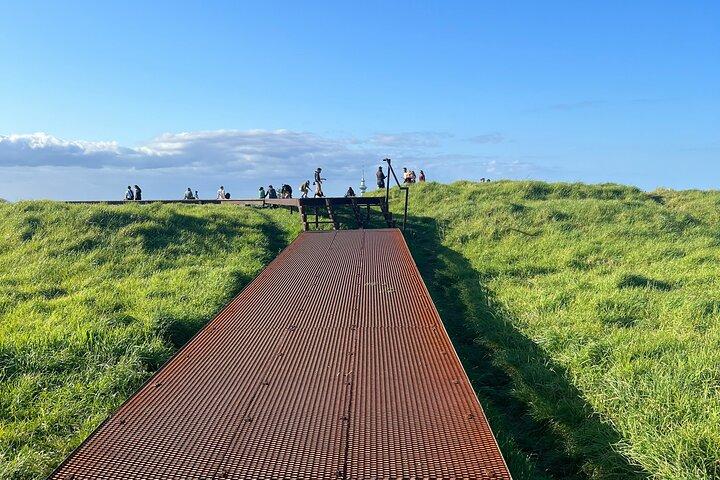 Auckland City Highlights and Hidden Gems Half Day Tour