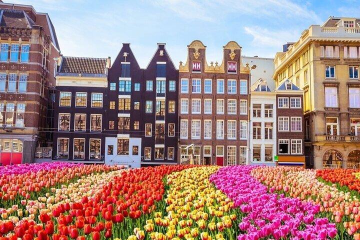 Amsterdam Historic Center Walking Tour With A Guide