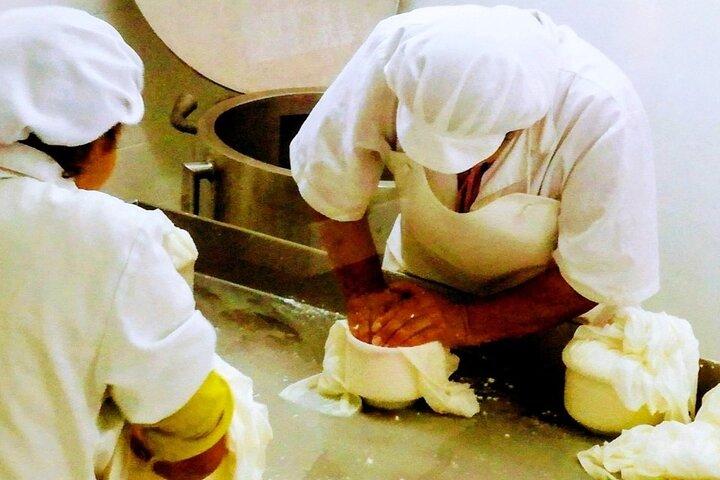 From Lisbon to the mountains: cheese factory and museum