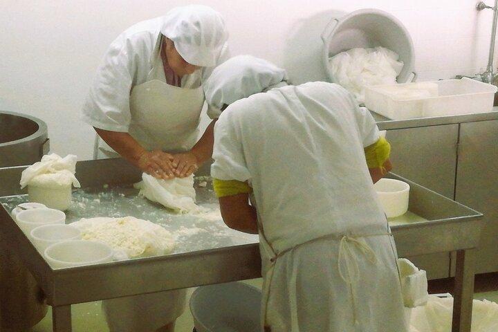 From Lisbon to the mountains: cheese factory and museum