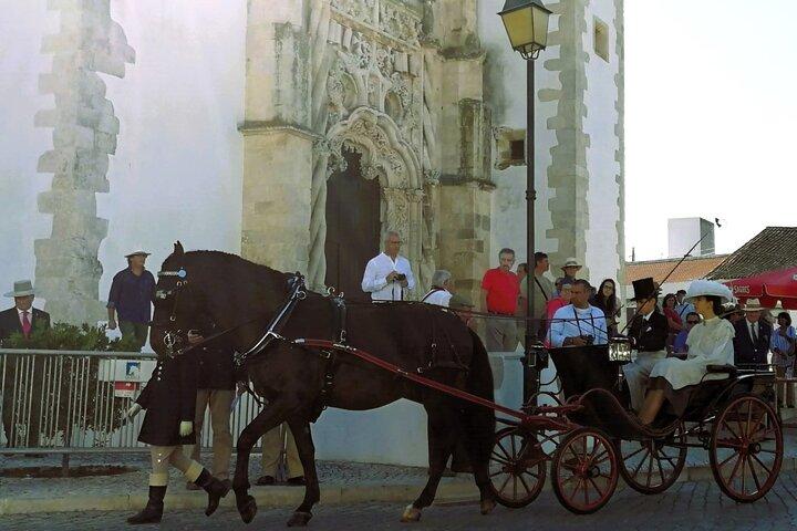 From Lisbon: Capital of Lusitanian Horses Private Half day Tour