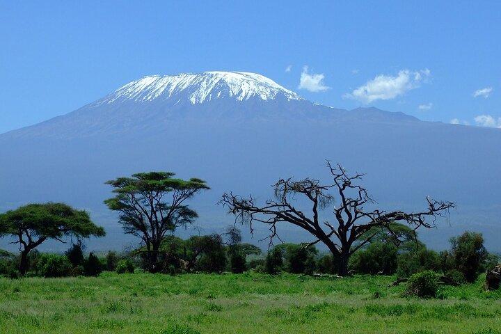 Day Tour To Amboseli National Park