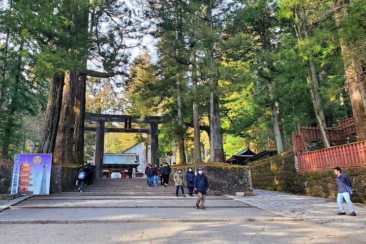 Nikko Full-Day Private Tour from Tokyo (Customizable)
