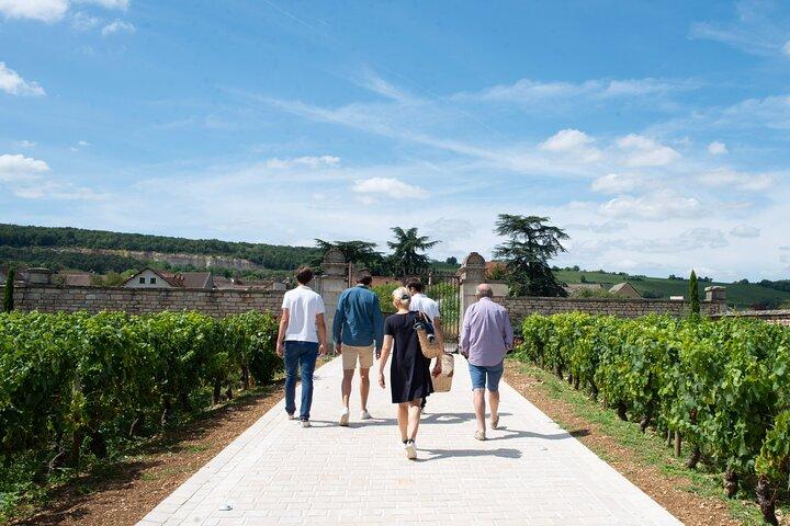 From Beaune: Full day the most of Burgundy, with lunch