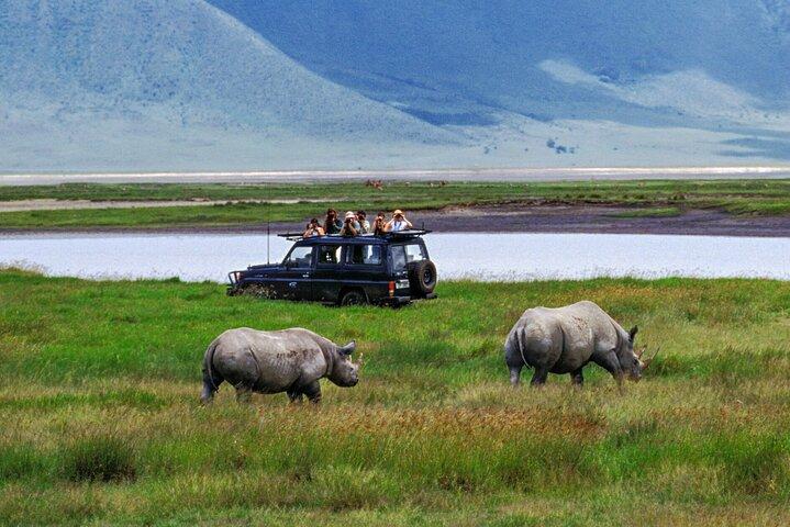 7-Day Tanzania Private Luxury Safari, Culture & Night Game Drive