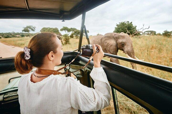 8-Day Private Luxury Safari: Northern Parks & Materuni Waterfalls