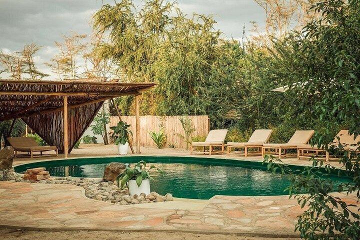 4-Day Private Luxury Safari: Tarangire, Serengeti & Ngorongoro