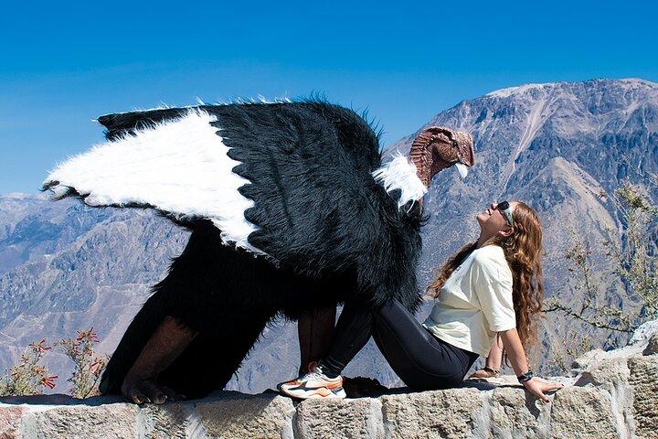 Colca Full Day