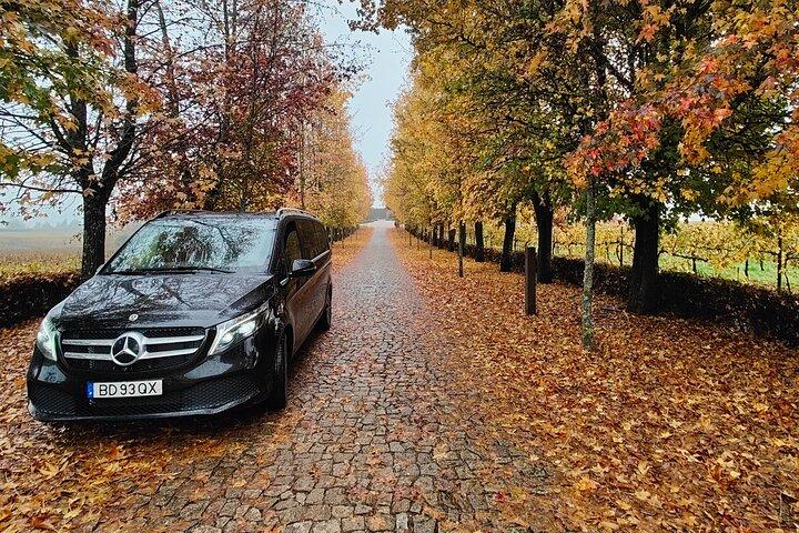 Private Transfer from Porto to Lisbon