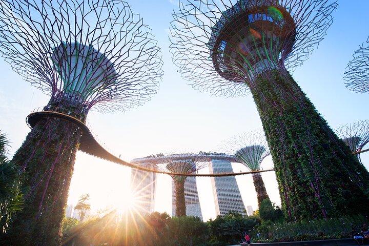 2-4 days in Singapore Guided Tour Pass