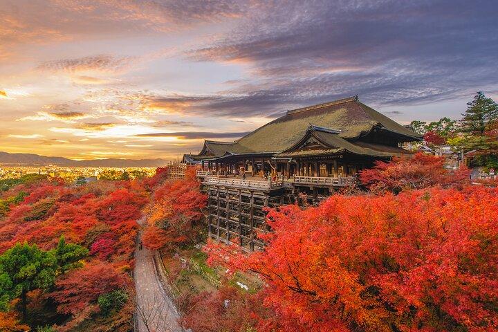 Private Day Tour in Osaka and Kyoto with charter car