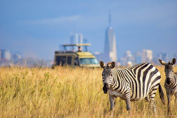 Group Joining-Half Day Nairobi National park