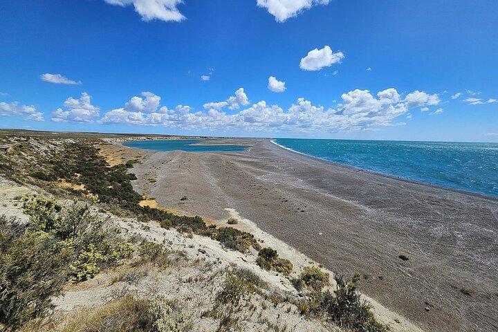 Peninsula Valdés Excursion with Whale Watching Included