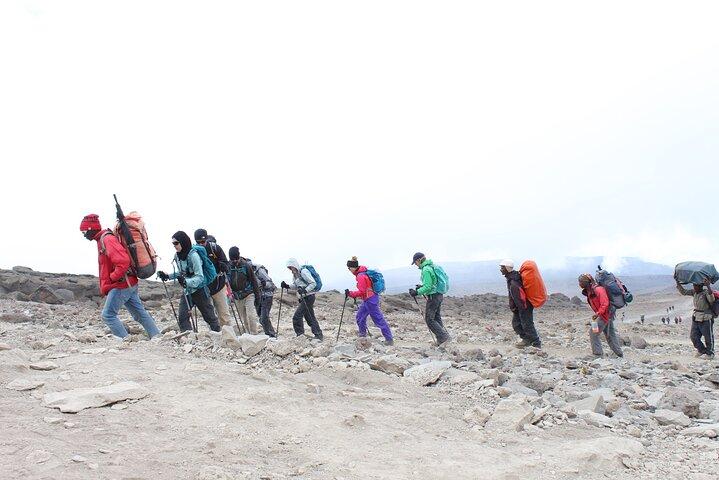 11 Days Kilimanjaro Premium Luxury Trek via Lemosho Route