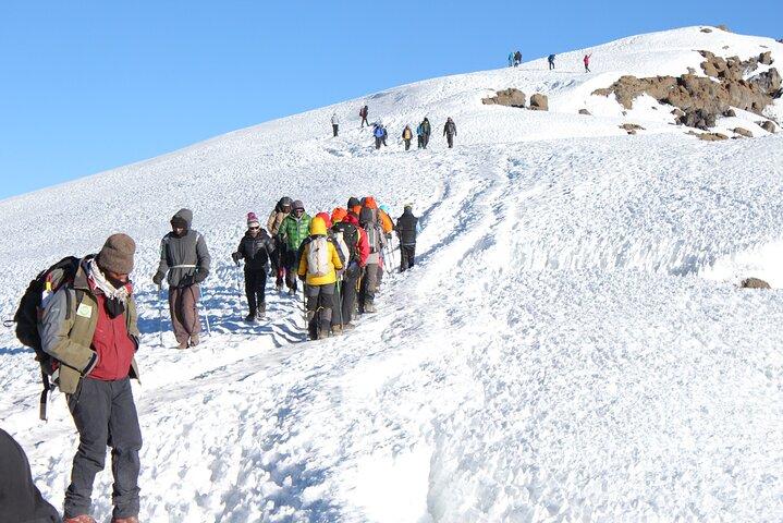 11 Days Kilimanjaro Premium Luxury Trek via Lemosho Route
