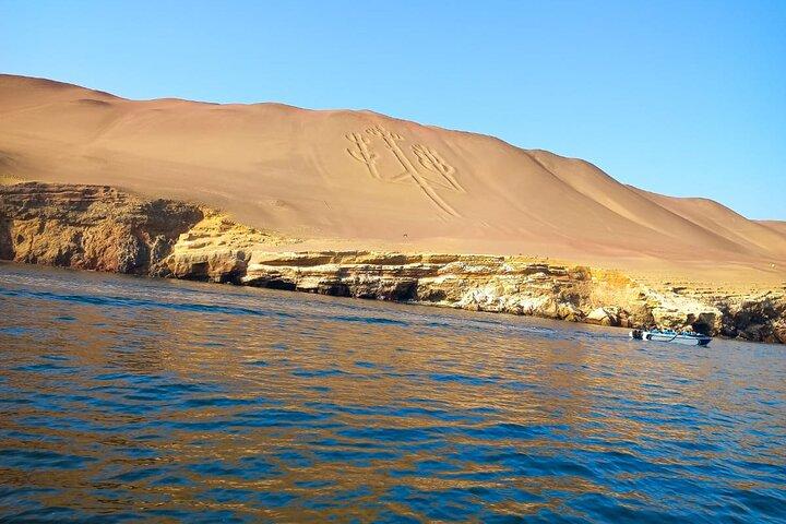 Ballestas Islands excursion from Paracas