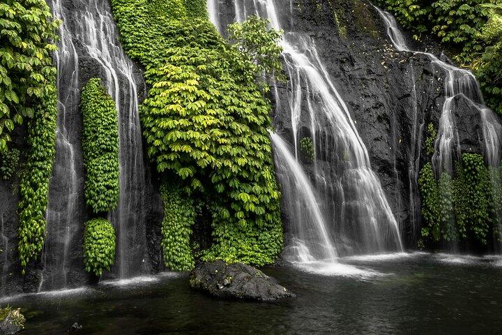 Bali Lovina Dolphin and North Bali Sightseeing - All Inclusive
