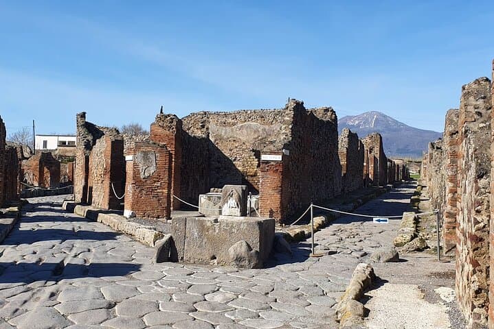 Vesuvius & Pompeii Signature Tour: Wine & Lunch from Naples