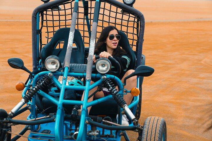 Tour the Paracas National Reserve in a MiniBuggy