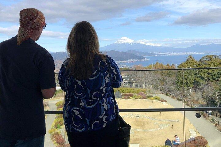Private Sightseeing Tour from Shimizu Port / Sedan Taxi