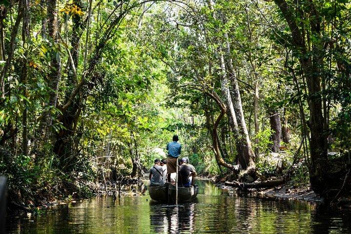 Half Day Village Houseboat Tour (from Cruise terminal in Kochi)