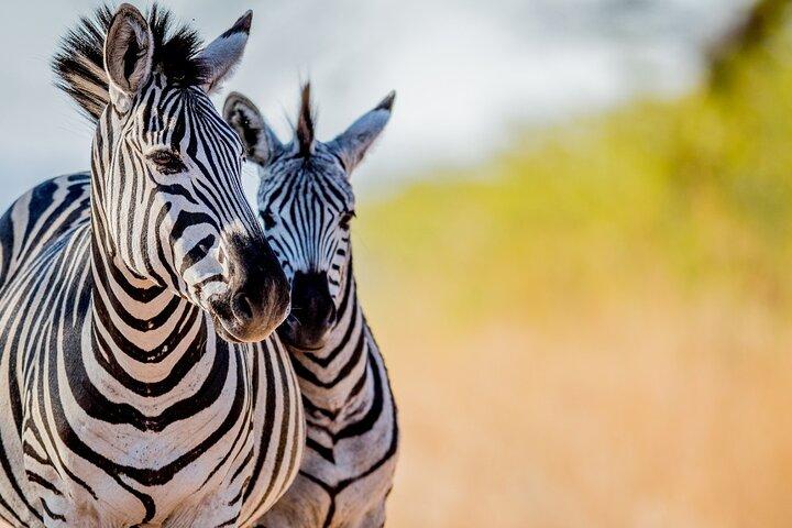 3 Days Masai Mara Private Tour