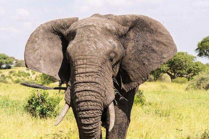 3 Days Masai Mara Private Tour