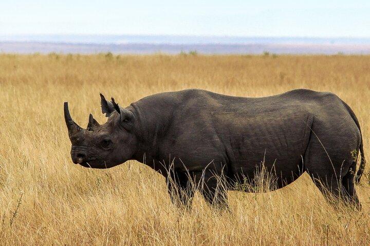3 Days Masai Mara Private Tour