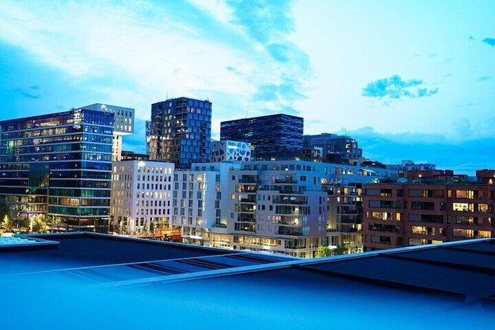 Oslo Must-See Attractions Walking Tour With A Guide