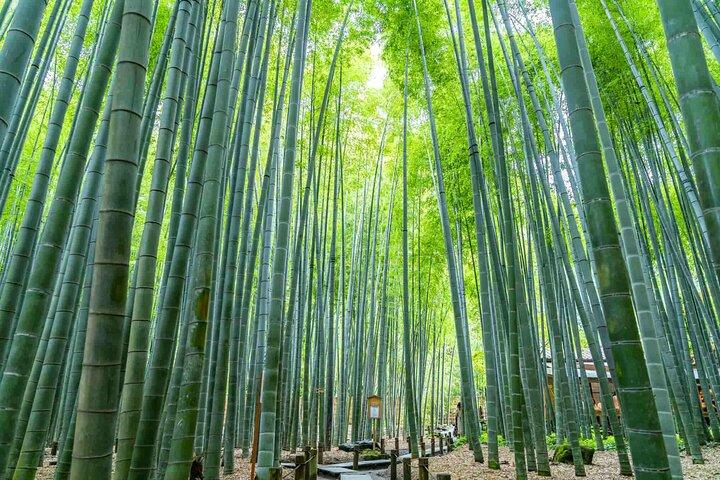 Private Kamakura Enoshima Tour from Tokyo w/ pickup & local guide