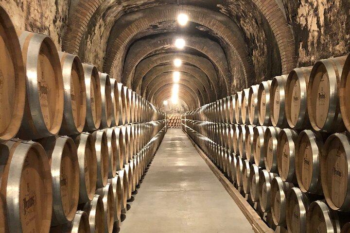 Ribera del Duero Wine Tour from Madrid with 2 Wineries & Tastings