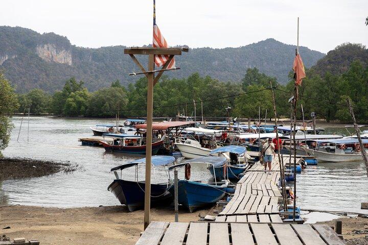 5 Hours Mangrove Boat Tour in Langkawi