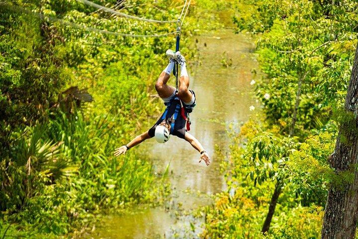 New Orleans Zipline Swamp Tour