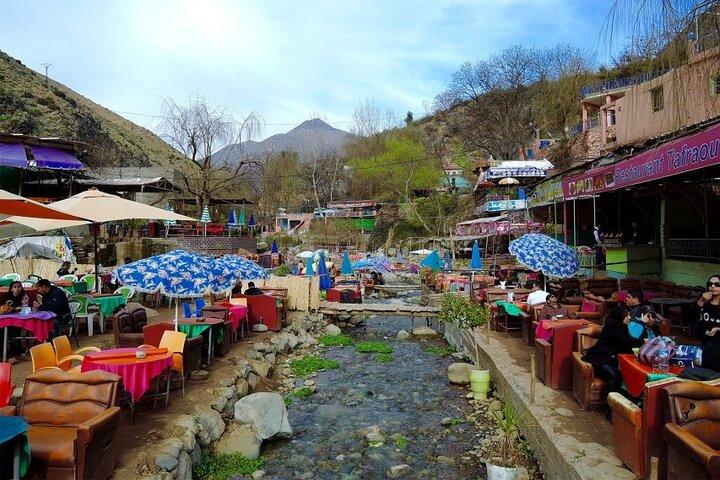 Marrakech: Ourika Valley, Atlas Mountains, Waterfalls Hike, Lunch