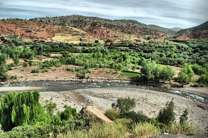 Marrakech: Ourika Valley, Atlas Mountains, Waterfalls Hike, Lunch