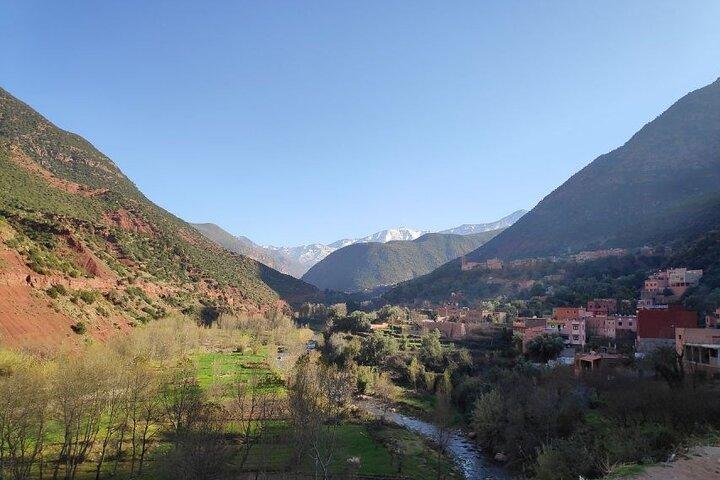 Marrakech: Ourika Valley, Atlas Mountains, Waterfalls Hike, Lunch