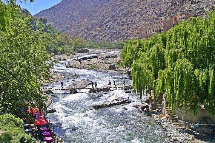 Marrakech: Ourika Valley, Atlas Mountains, Waterfalls Hike, Lunch