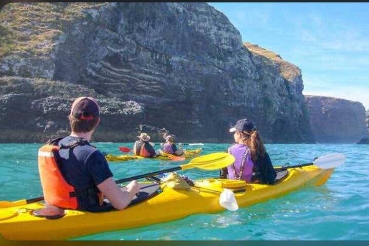 Akaroa Day Tour From Christchurch