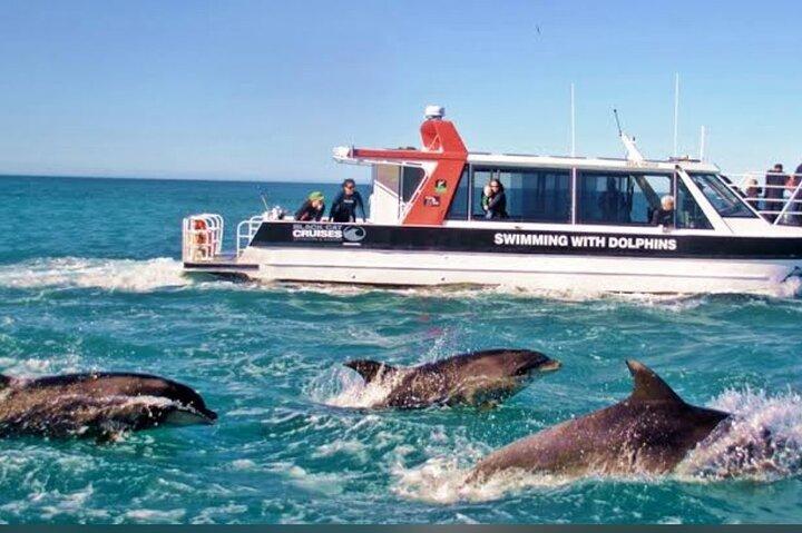 Akaroa Day Tour From Christchurch