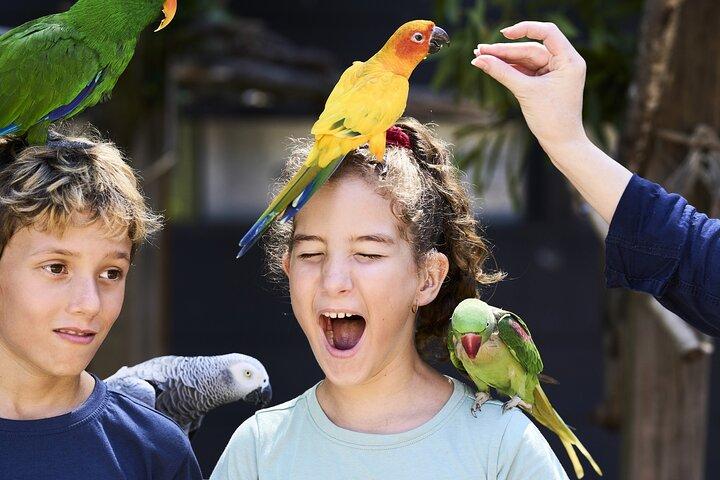 Maleny Botanic Gardens Bird Aviary Experience Ticket