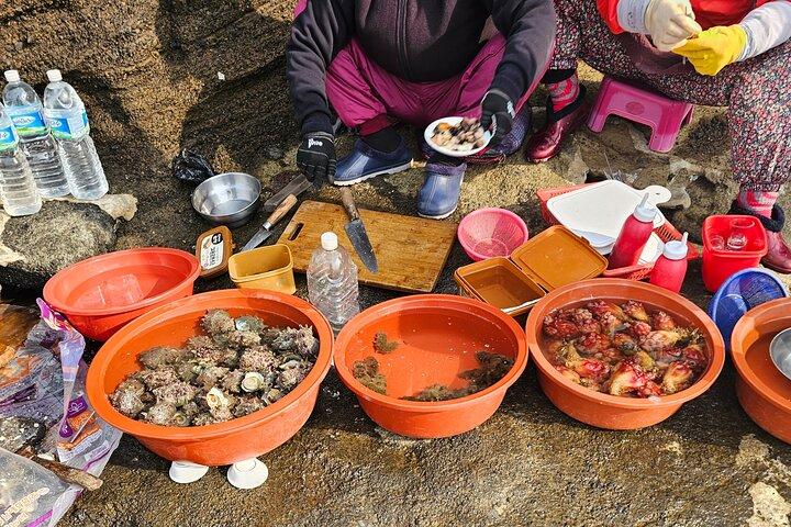 Small Group Jeju island Private Mini-Bus Tour